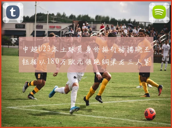 中超U23本土球员身价排行榜揭晓王钰栋以180万欧元领跑铜梁龙三人紧随其后